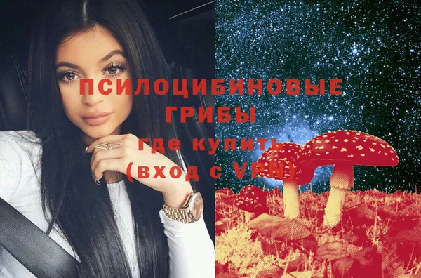 ГАЛЛЮЦИНОГЕННЫЕ ГРИБЫ Абдулино