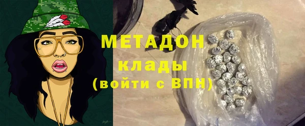 шишки Абаза