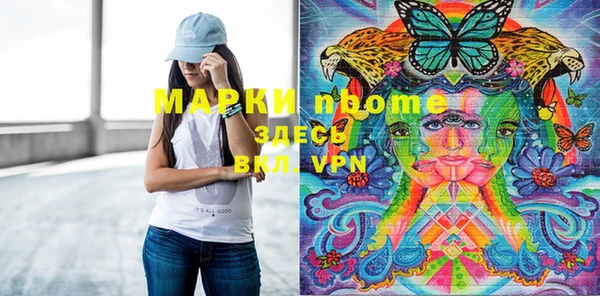 шишки Абаза