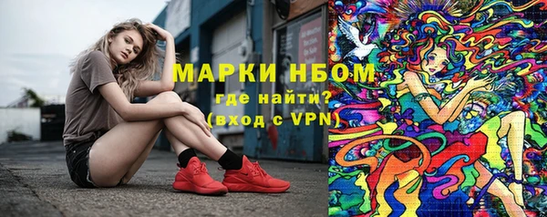 шишки Абаза