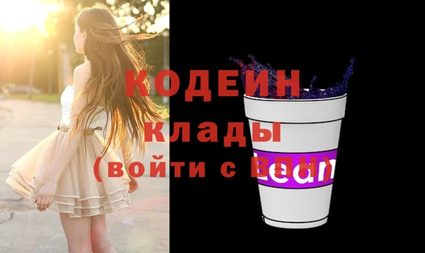 мдпв Осташков