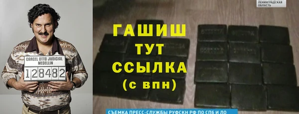 шишки Абаза