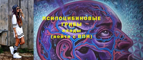 шишки Абаза