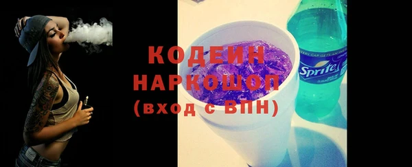 мдпв Осташков