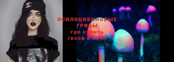 ешки Абинск