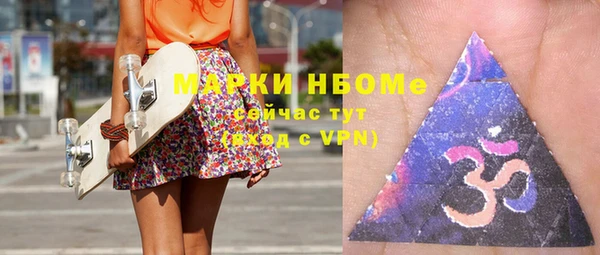 шишки Абаза
