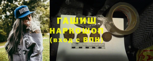 шишки Абаза