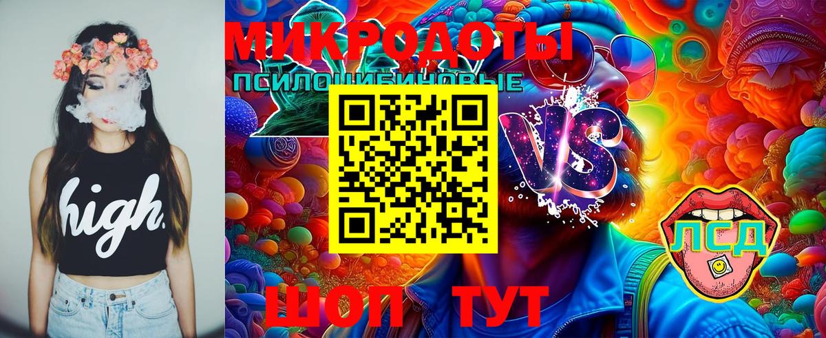 Холмск  Галлюциногенные грибы GOLDEN TEACHER  Вход с VPN  Галлюциногенные грибы Cubensis 