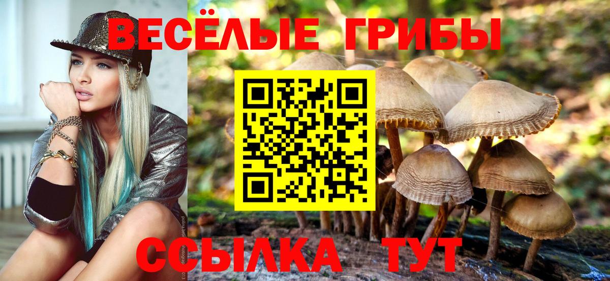 Псилоцибиновые грибы ЛСД Холмск
